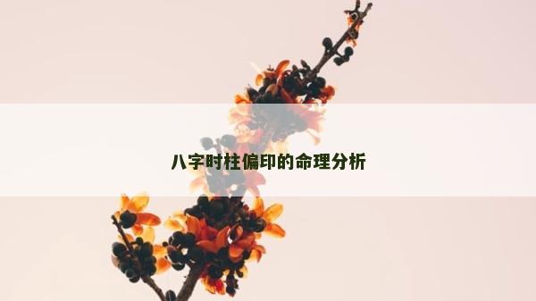 八字时柱偏印的命理分析