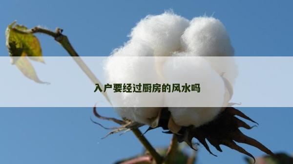 入户要经过厨房的风水吗