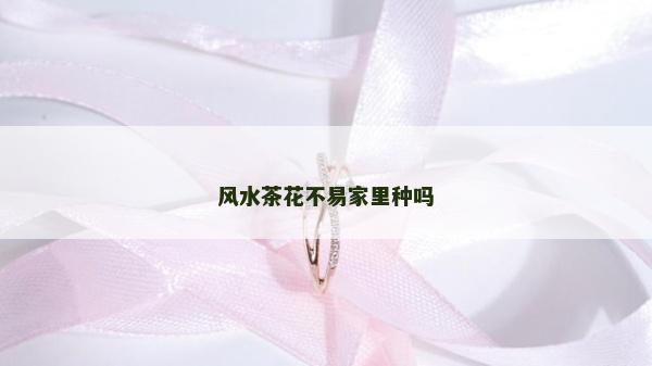 风水茶花不易家里种吗