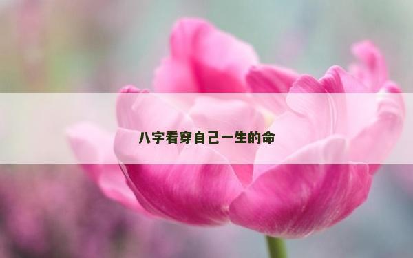 八字看穿自己一生的命