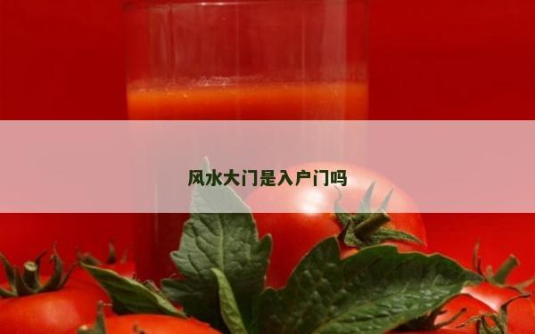 风水大门是入户门吗