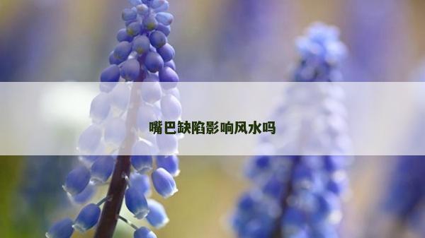 嘴巴缺陷影响风水吗