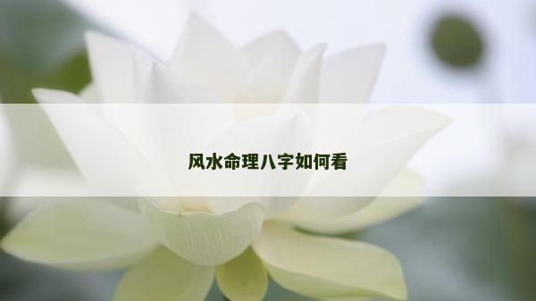 风水命理八字如何看
