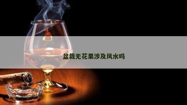 盆栽无花果涉及风水吗