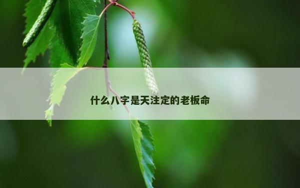 什么八字是天注定的老板命