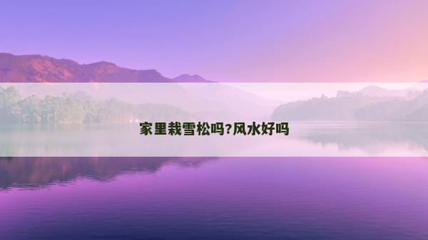 家里栽雪松吗?风水好吗