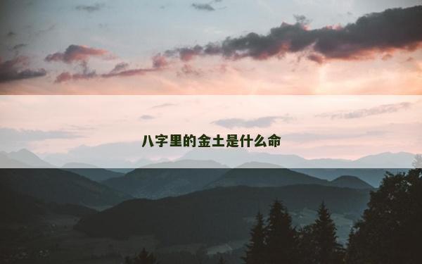 八字里的金土是什么命