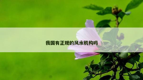 我国有正规的风水机构吗