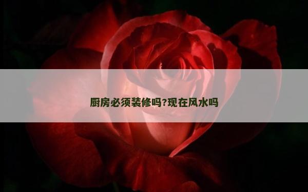 厨房必须装修吗?现在风水吗