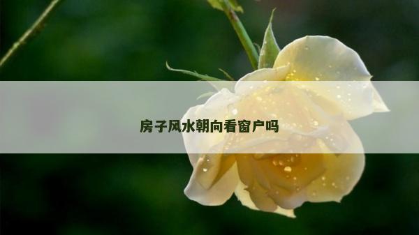 房子风水朝向看窗户吗