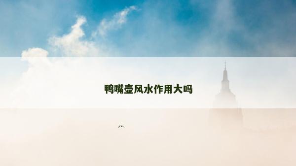 鸭嘴壶风水作用大吗