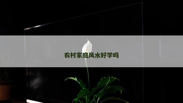 农村家庭风水好学吗