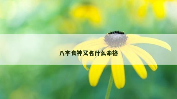 八字食神又名什么命格