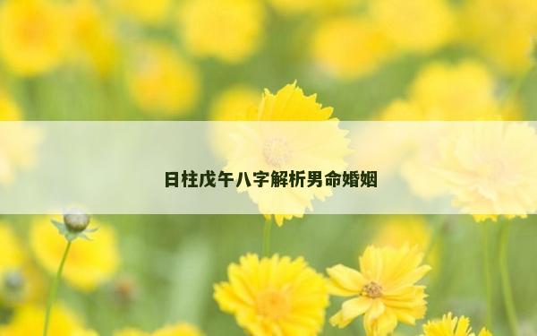 日柱戊午八字解析男命婚姻