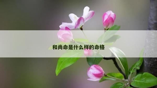 和尚命是什么样的命格