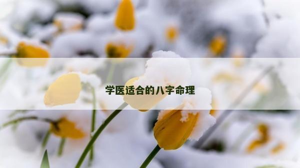 学医适合的八字命理