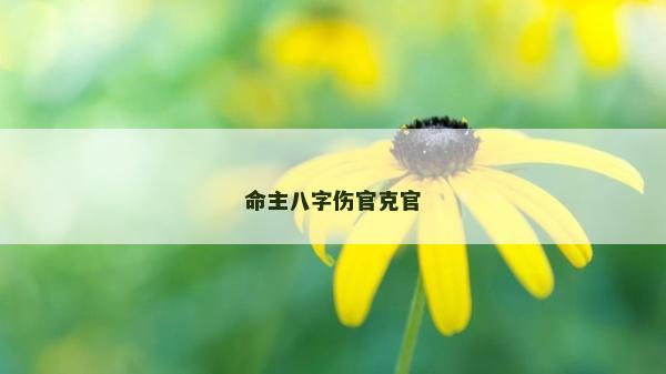 命主八字伤官克官
