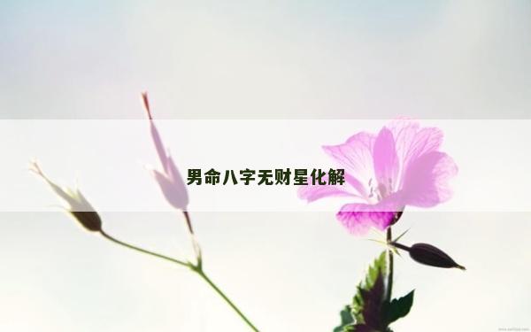 男命八字无财星化解