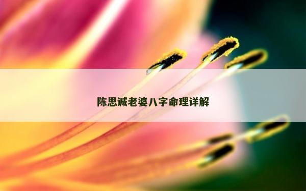 陈思诚老婆八字命理详解