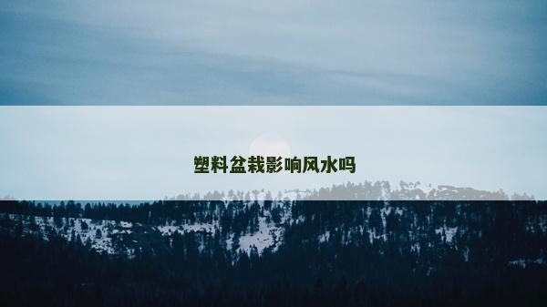 塑料盆栽影响风水吗