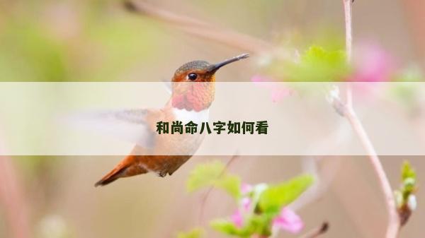 和尚命八字如何看