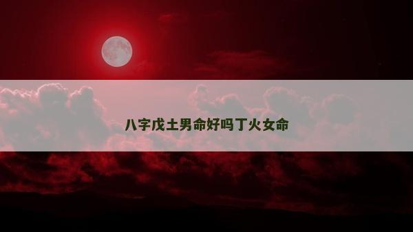 八字戊土男命好吗丁火女命