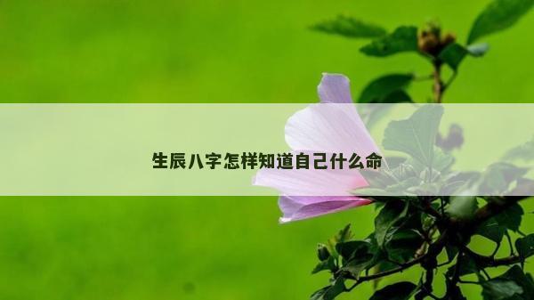 生辰八字怎样知道自己什么命