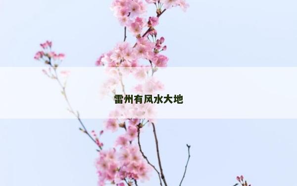雷州有风水大地