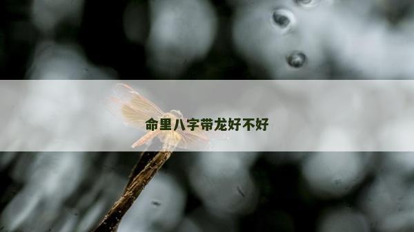命里八字带龙好不好