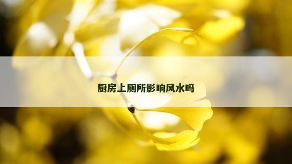 厨房上厕所影响风水吗