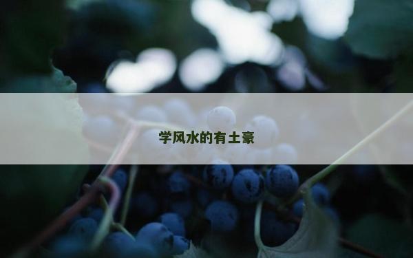 学风水的有土豪