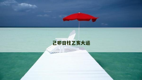 己卯日柱乙亥大运