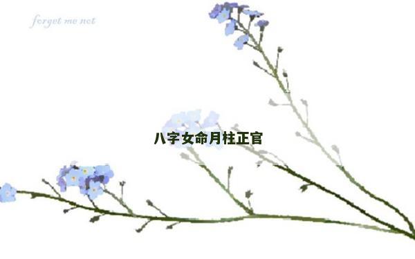 八字女命月柱正官