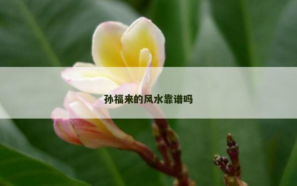 孙福来的风水靠谱吗