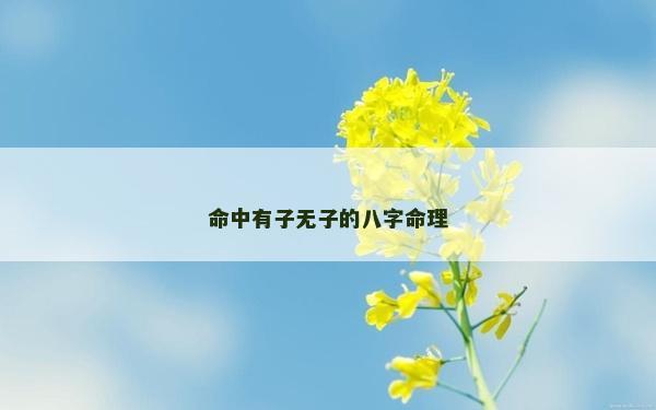 命中有子无子的八字命理