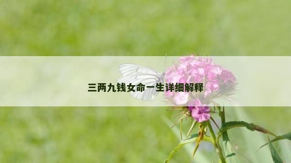 三两九钱女命一生详细解释