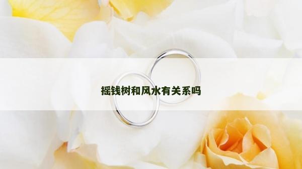 摇钱树和风水有关系吗