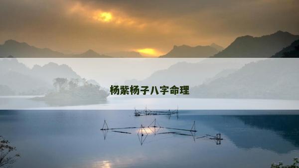 杨紫杨子八字命理