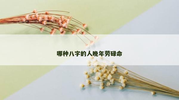 哪种八字的人晚年劳碌命