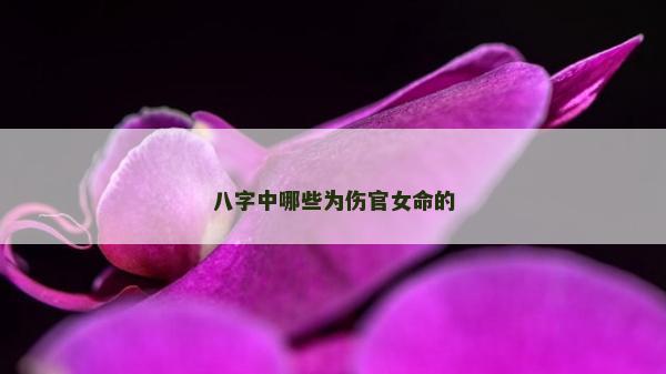 八字中哪些为伤官女命的