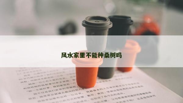 风水家里不能种桑树吗