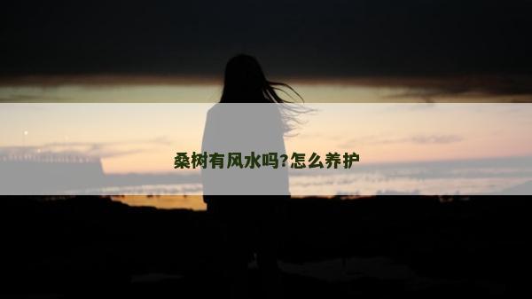 桑树有风水吗?怎么养护