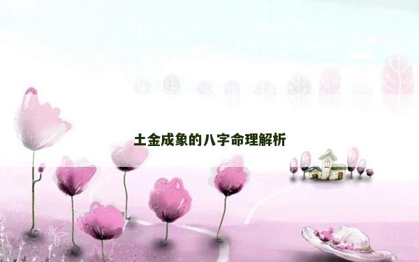 土金成象的八字命理解析