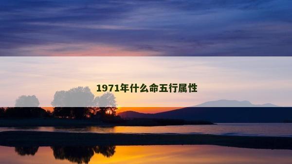 1971年什么命五行属性
