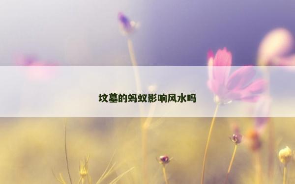 坟墓的蚂蚁影响风水吗