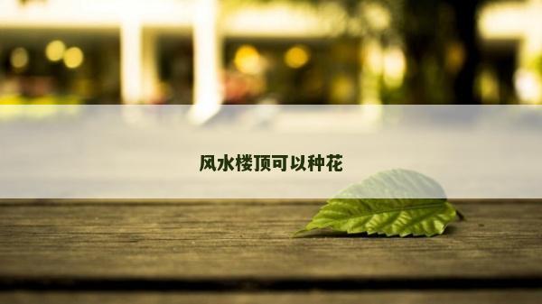 风水楼顶可以种花