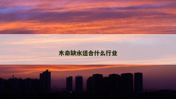 木命缺水适合什么行业