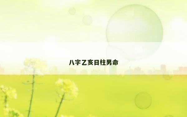 八字乙亥日柱男命