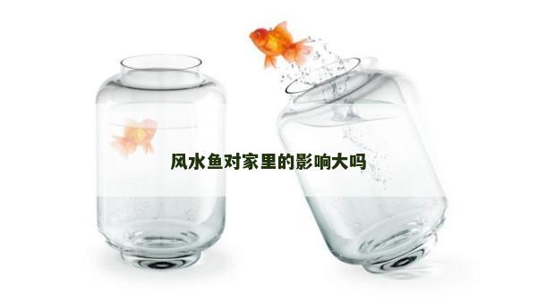 风水鱼对家里的影响大吗