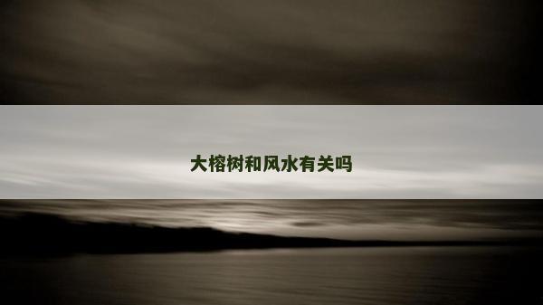 大榕树和风水有关吗